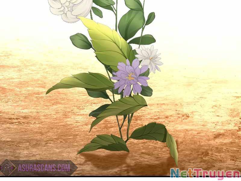 đọc truyện Thiên Tài Ma Pháp Sư Giấu Nghề Chương 23 ảnh 223 tại Thiên Thai Truyện