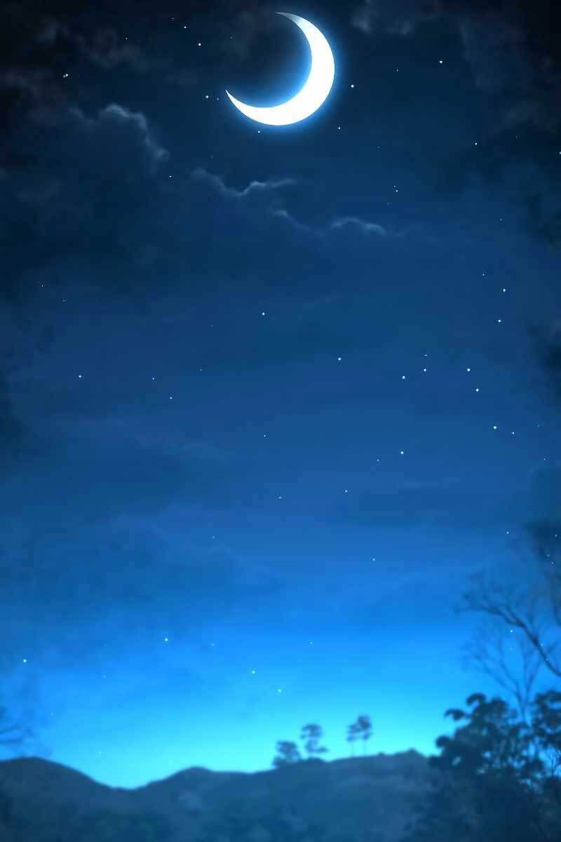 đọc truyện Thiên Tài Ma Pháp Sư Giấu Nghề Chương 49 ảnh 85 tại Thiên Thai Truyện