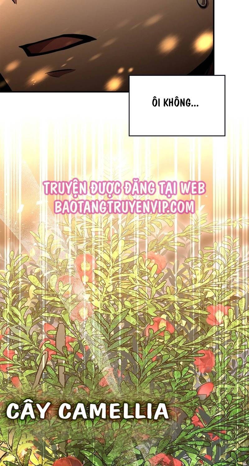 đọc truyện Thiên Tài Ma Pháp Sư Giấu Nghề Chương 83 ảnh 117 tại Thiên Thai Truyện