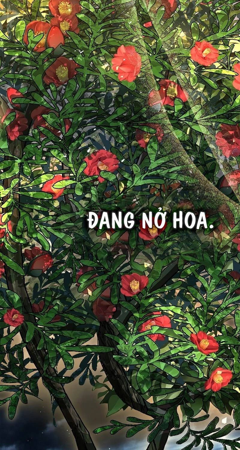 đọc truyện Thiên Tài Ma Pháp Sư Giấu Nghề Chương 83 ảnh 118 tại Thiên Thai Truyện