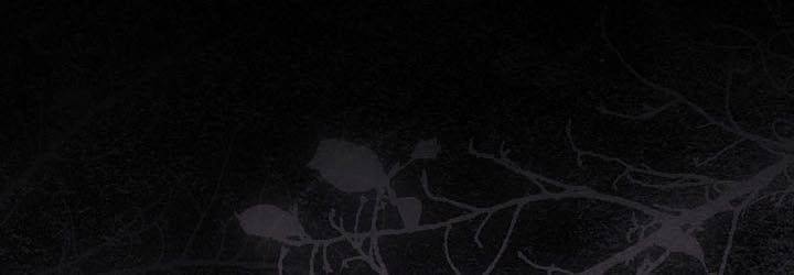 đọc truyện Thiên Tài Võ Thuật Hồi Quy Chương 112 ảnh 53 tại Thiên Thai Truyện