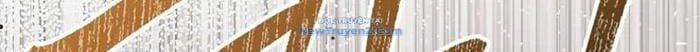đọc truyện Thiên Tài Võ Thuật Hồi Quy Chương 92 ảnh 84 tại Thiên Thai Truyện