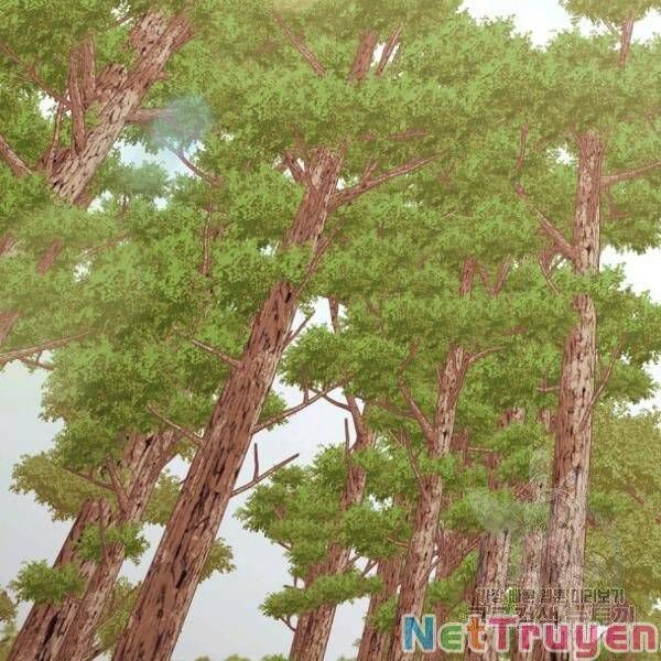 đọc truyện Thiên Võ Chiến Thần Chương 43 ảnh 5 tại Thiên Thai Truyện