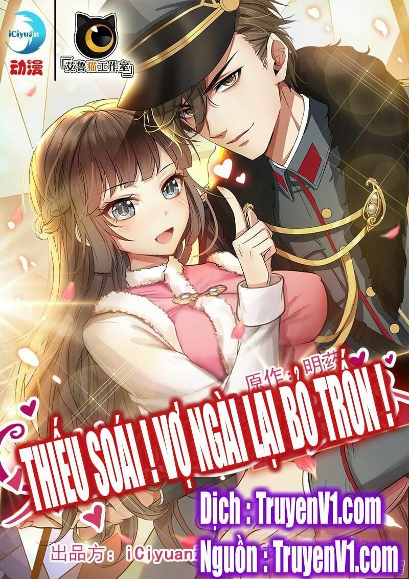 đọc truyện Thiếu Soái ! Vợ Ngài Lại Bỏ Trốn Chương 1 ảnh 3 tại Thiên Thai Truyện