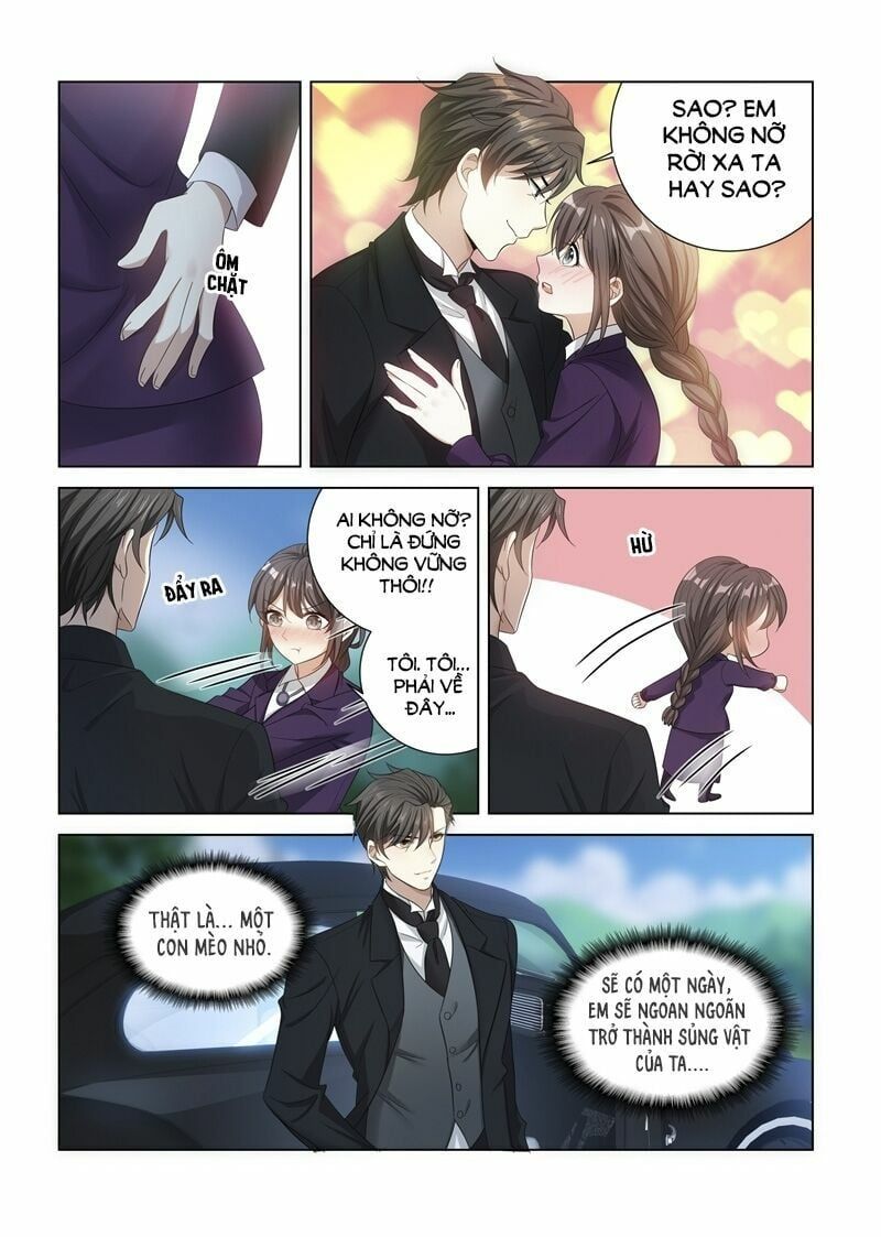 đọc truyện Thiếu Soái ! Vợ Ngài Lại Bỏ Trốn Chương 132 ảnh 6 tại Thiên Thai Truyện