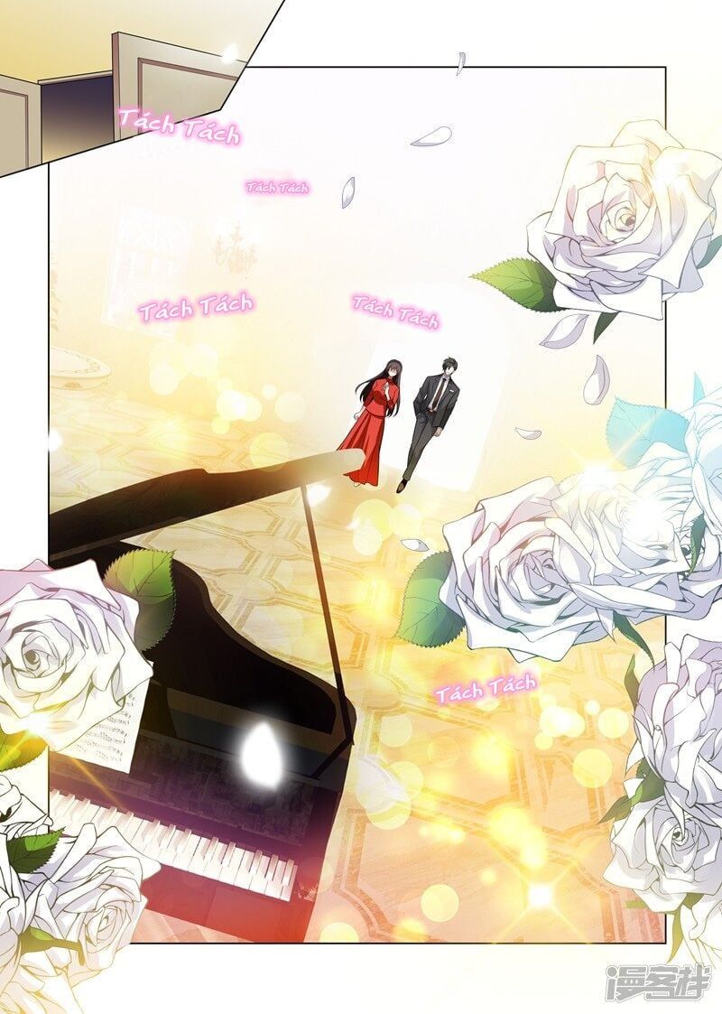 đọc truyện Thiếu Soái ! Vợ Ngài Lại Bỏ Trốn Chương 189 ảnh 6 tại Thiên Thai Truyện