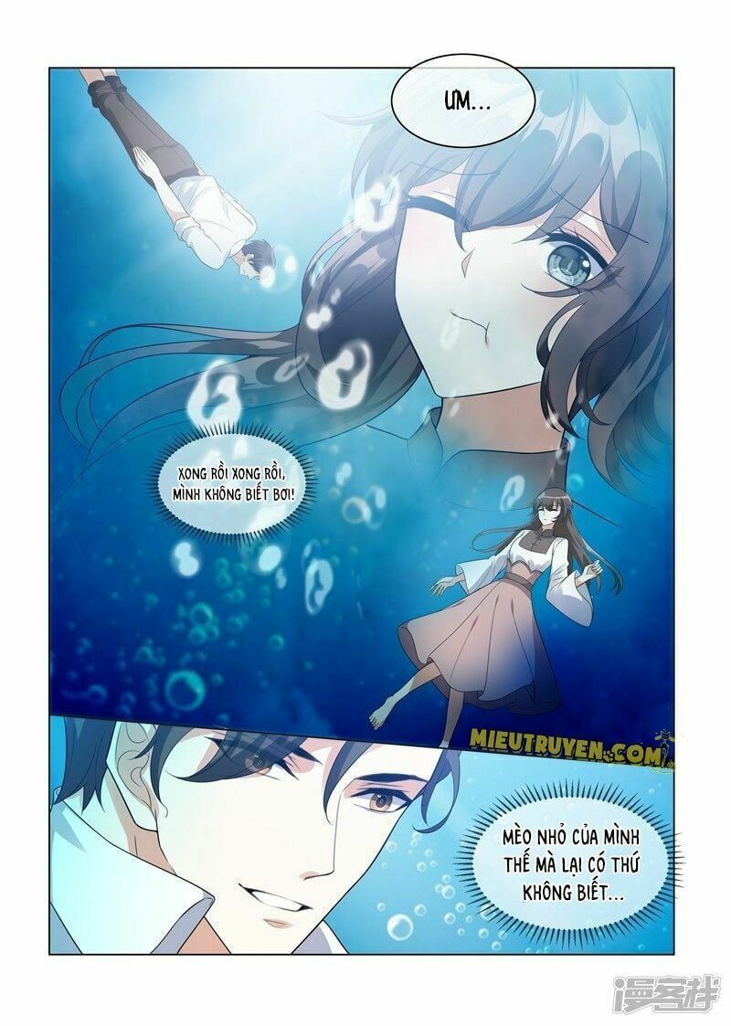 đọc truyện Thiếu Soái ! Vợ Ngài Lại Bỏ Trốn Chương 205 ảnh 4 tại Thiên Thai Truyện