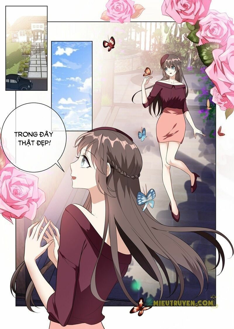 đọc truyện Thiếu Soái ! Vợ Ngài Lại Bỏ Trốn Chương 219 ảnh 4 tại Thiên Thai Truyện