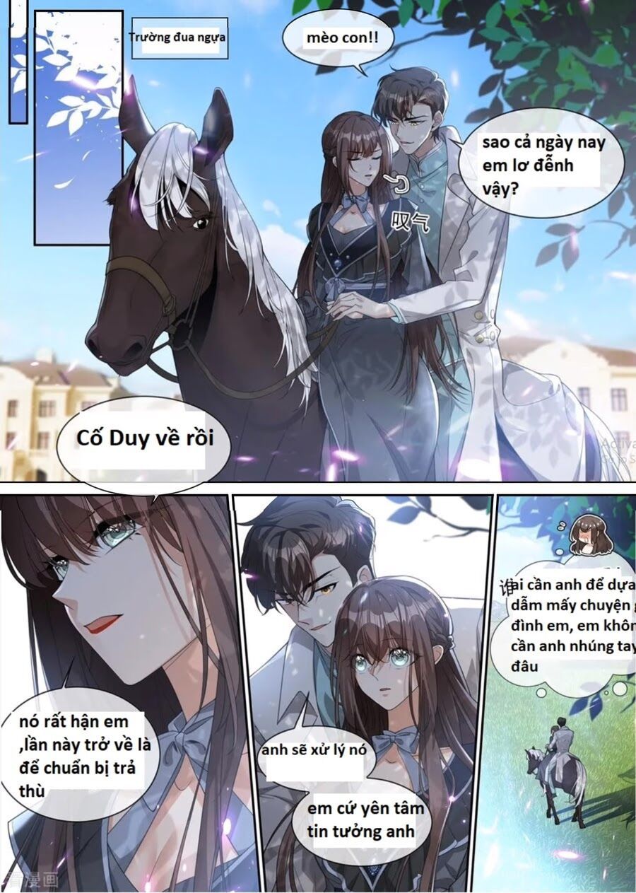 đọc truyện Thiếu Soái ! Vợ Ngài Lại Bỏ Trốn Chương 303 ảnh 9 tại Thiên Thai Truyện