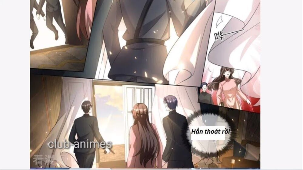 đọc truyện Thiếu Soái ! Vợ Ngài Lại Bỏ Trốn Chương 334 ảnh 14 tại Thiên Thai Truyện