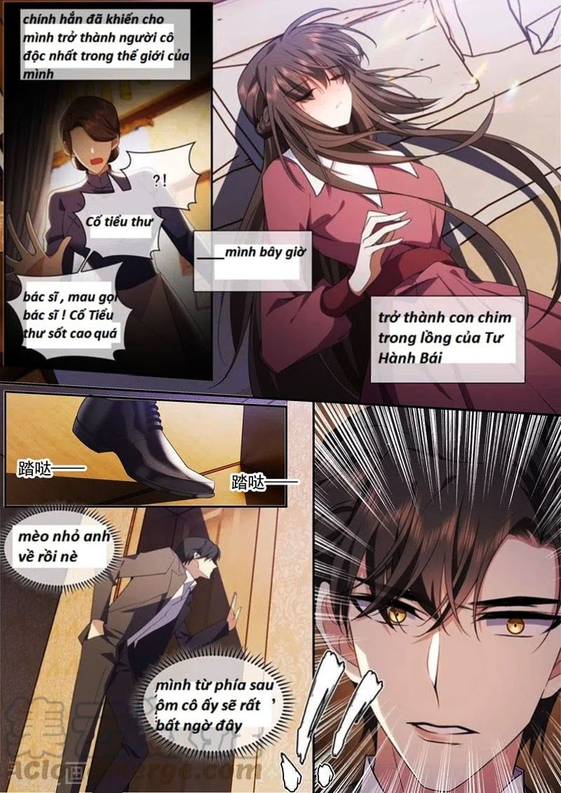 đọc truyện Thiếu Soái ! Vợ Ngài Lại Bỏ Trốn Chương 374 ảnh 5 tại Thiên Thai Truyện