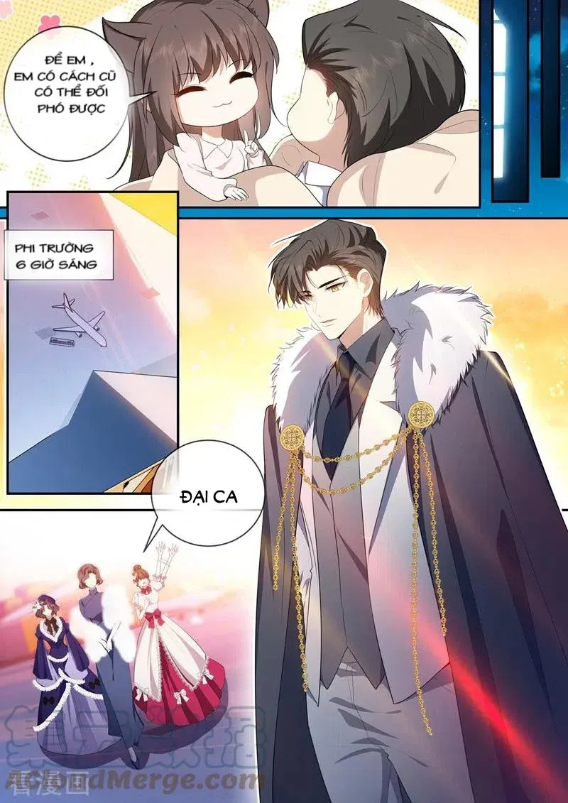 đọc truyện Thiếu Soái ! Vợ Ngài Lại Bỏ Trốn Chương 435 ảnh 4 tại Thiên Thai Truyện