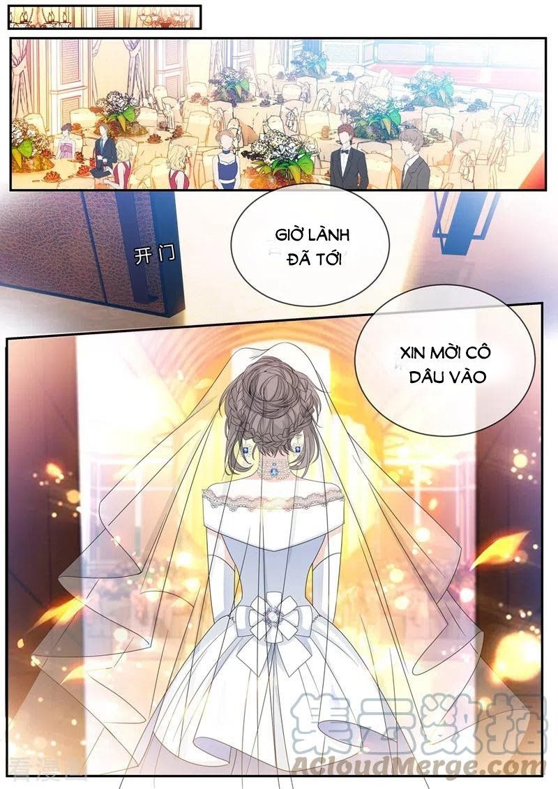 đọc truyện Thiếu Soái ! Vợ Ngài Lại Bỏ Trốn Chương 437 ảnh 8 tại Thiên Thai Truyện