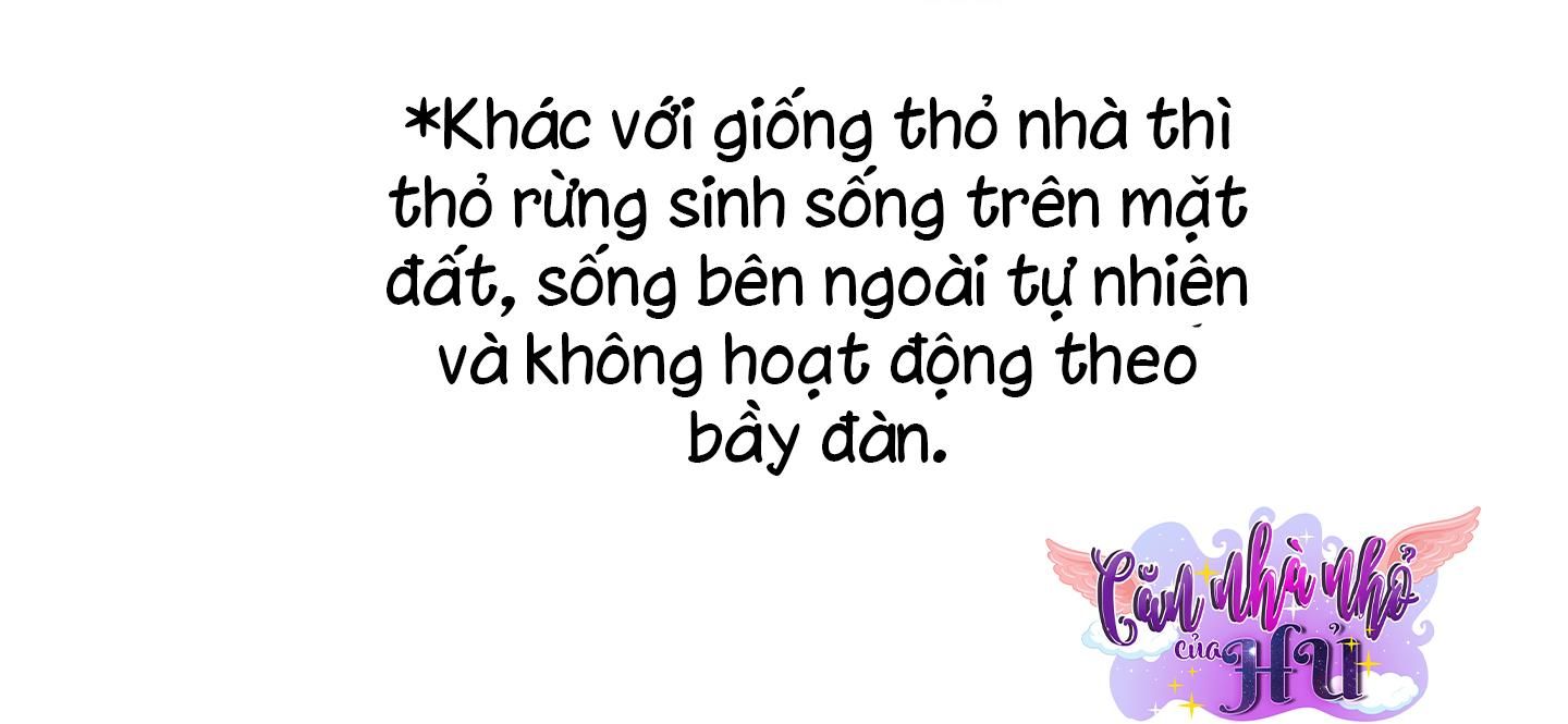 đọc truyện Thỏ Nhỏ Xuất Tinh Trong 3 Giây Chương 2 ảnh 96 tại Giả Dược