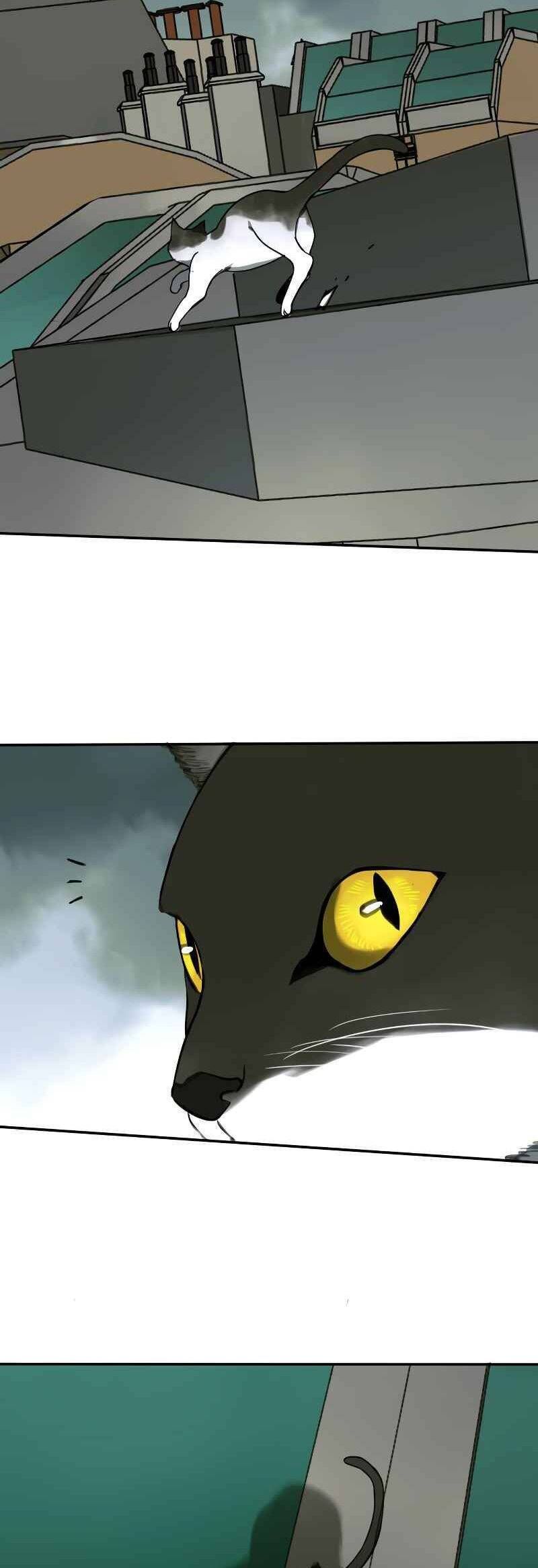 đọc truyện Thợ Săn Top 1 Trở Lại Chương 14 ảnh 5 tại Thiên Thai Truyện