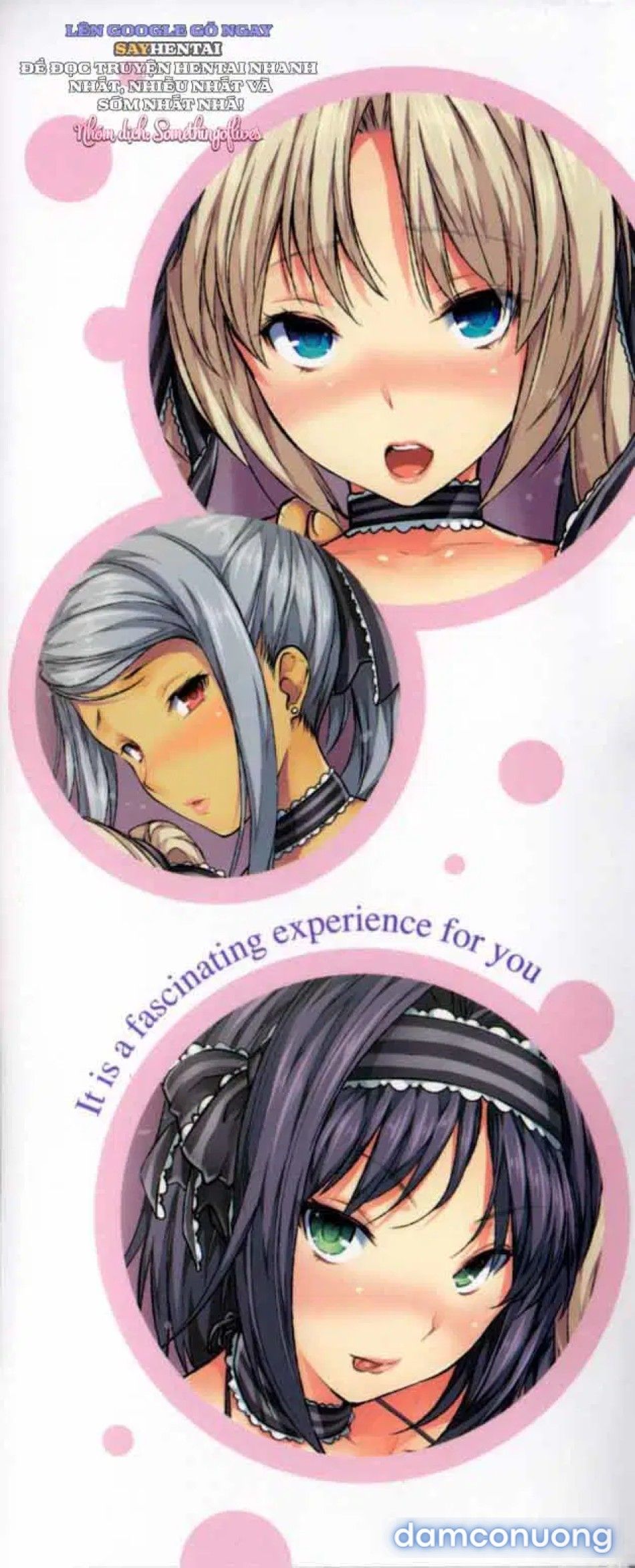 đọc truyện Thời Khắc Hậu Cung Đăng Quang Chương 1 ảnh 5 tại Thiên Thai Truyện