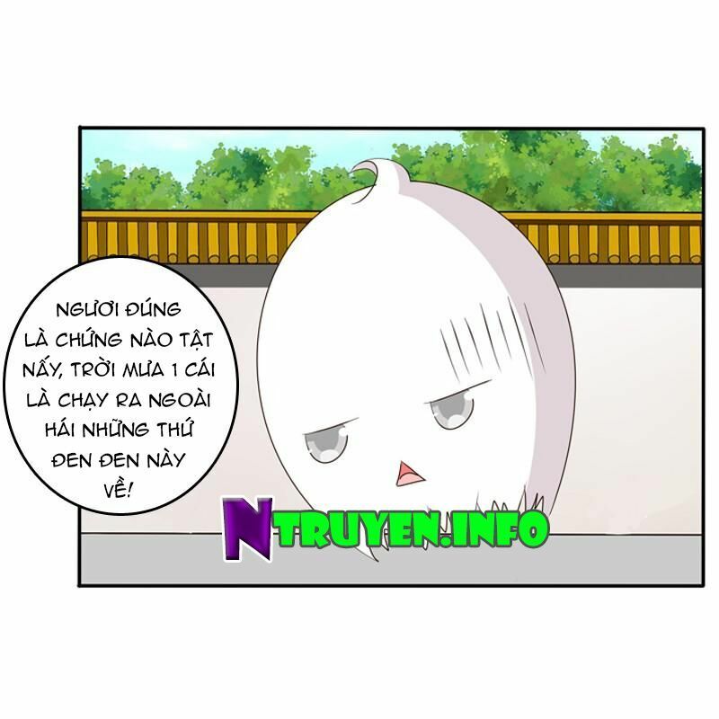 đọc truyện Thông Linh Phi Chương 103 ảnh 22 tại Thiên Thai Truyện