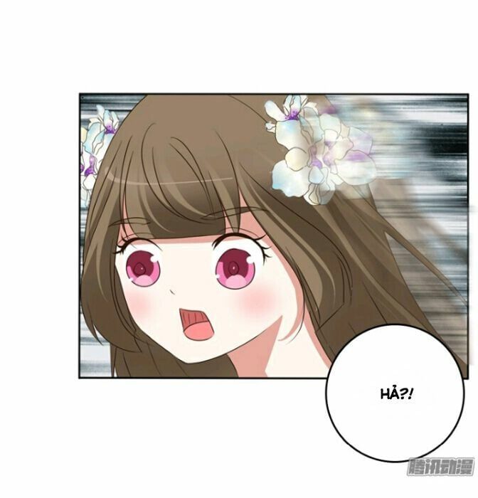 đọc truyện Thông Linh Phi Chương 111 ảnh 33 tại Thiên Thai Truyện