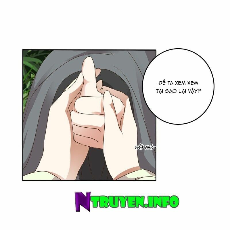 đọc truyện Thông Linh Phi Chương 115 ảnh 17 tại Thiên Thai Truyện