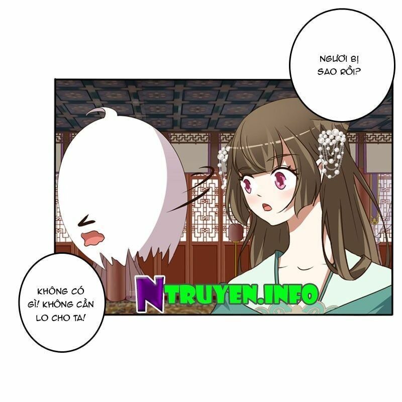 đọc truyện Thông Linh Phi Chương 124.5 ảnh 9 tại Thiên Thai Truyện