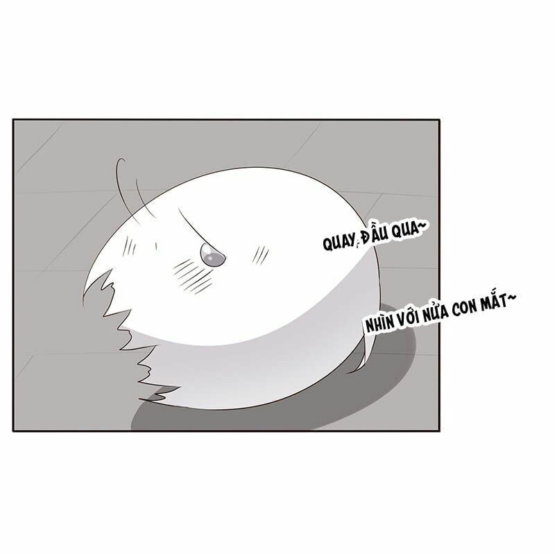 đọc truyện Thông Linh Phi Chương 163 ảnh 19 tại Thiên Thai Truyện