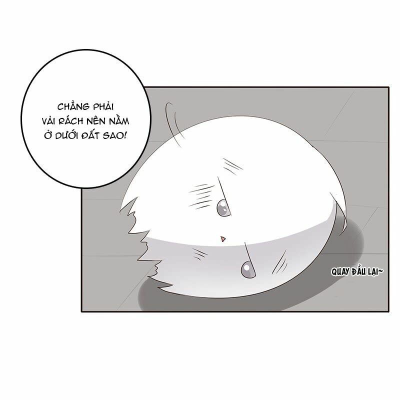 đọc truyện Thông Linh Phi Chương 163 ảnh 20 tại Thiên Thai Truyện