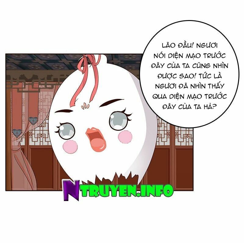 đọc truyện Thông Linh Phi Chương 165.5 ảnh 9 tại Thiên Thai Truyện