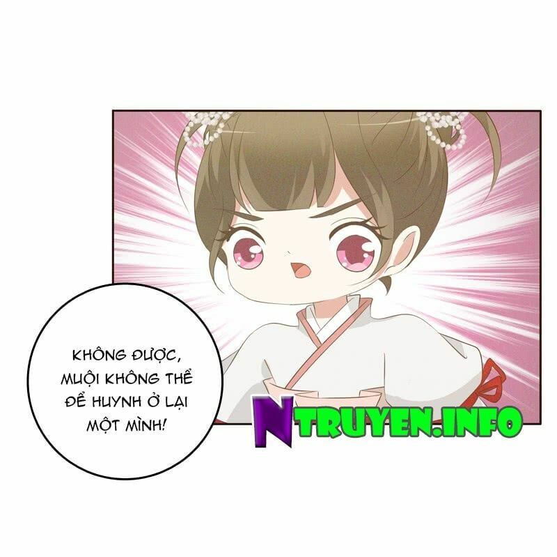 đọc truyện Thông Linh Phi Chương 169 ảnh 17 tại Thiên Thai Truyện