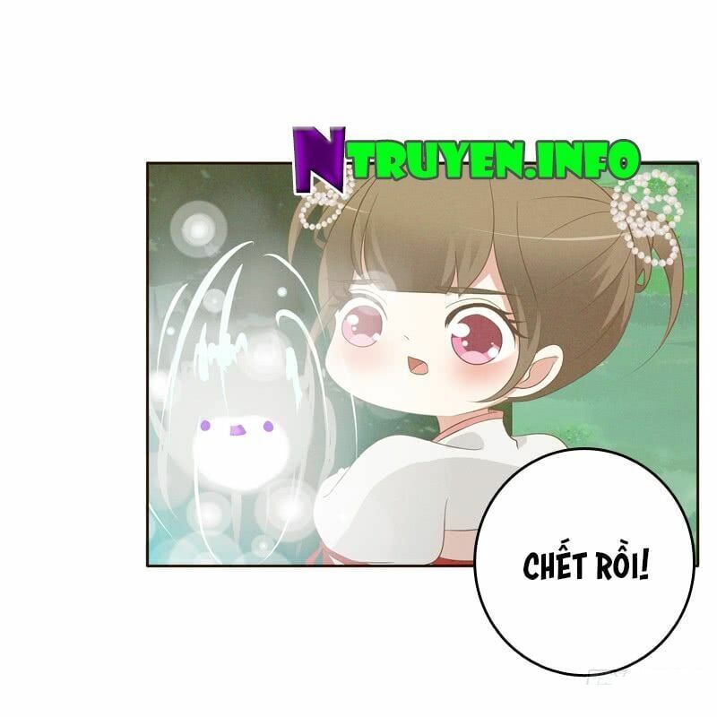 đọc truyện Thông Linh Phi Chương 169 ảnh 25 tại Thiên Thai Truyện