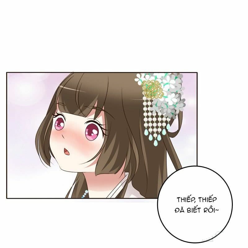 đọc truyện Thông Linh Phi Chương 181 ảnh 17 tại Thiên Thai Truyện