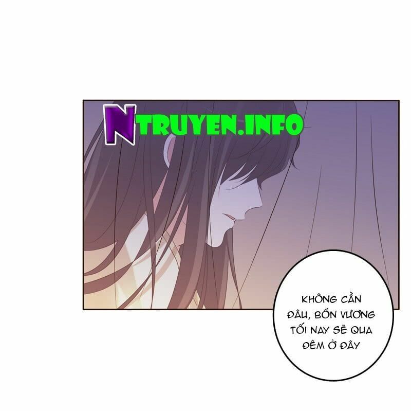 đọc truyện Thông Linh Phi Chương 186.5 ảnh 5 tại Thiên Thai Truyện