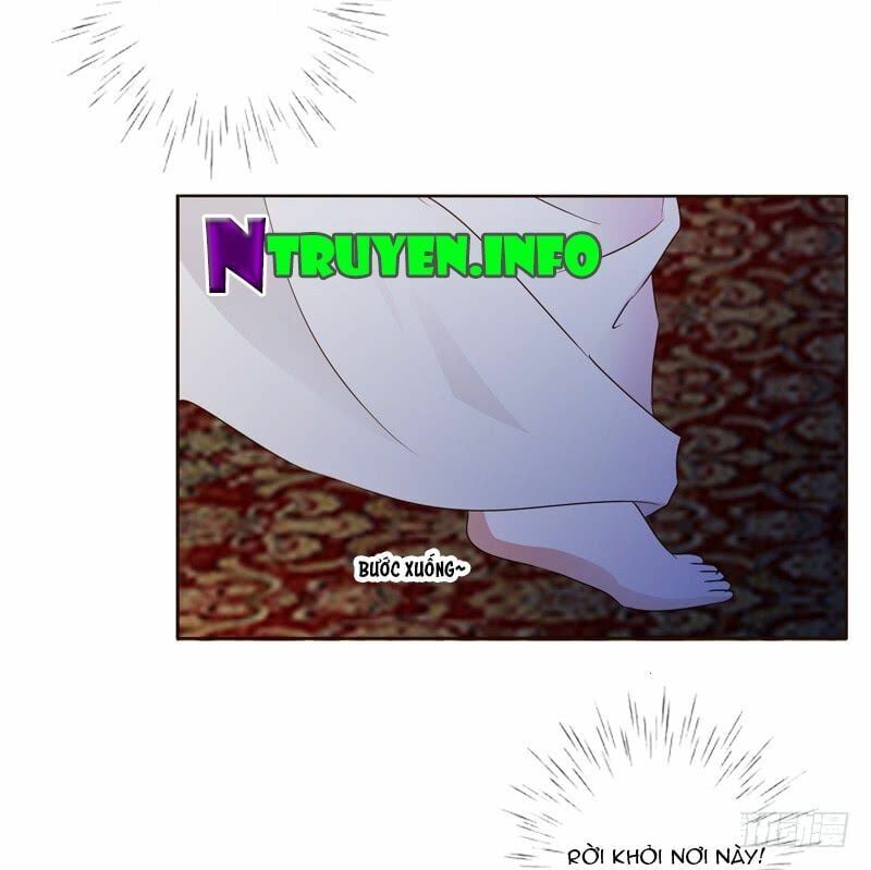 đọc truyện Thông Linh Phi Chương 186 ảnh 9 tại Thiên Thai Truyện