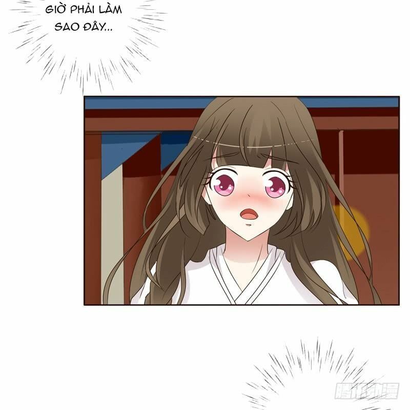 đọc truyện Thông Linh Phi Chương 194 ảnh 14 tại Thiên Thai Truyện