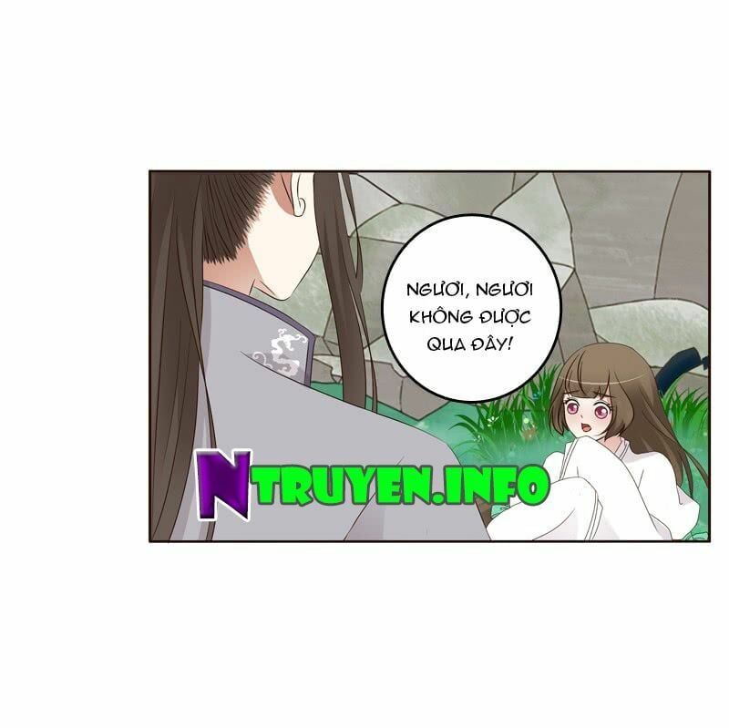 đọc truyện Thông Linh Phi Chương 195 ảnh 13 tại Thiên Thai Truyện