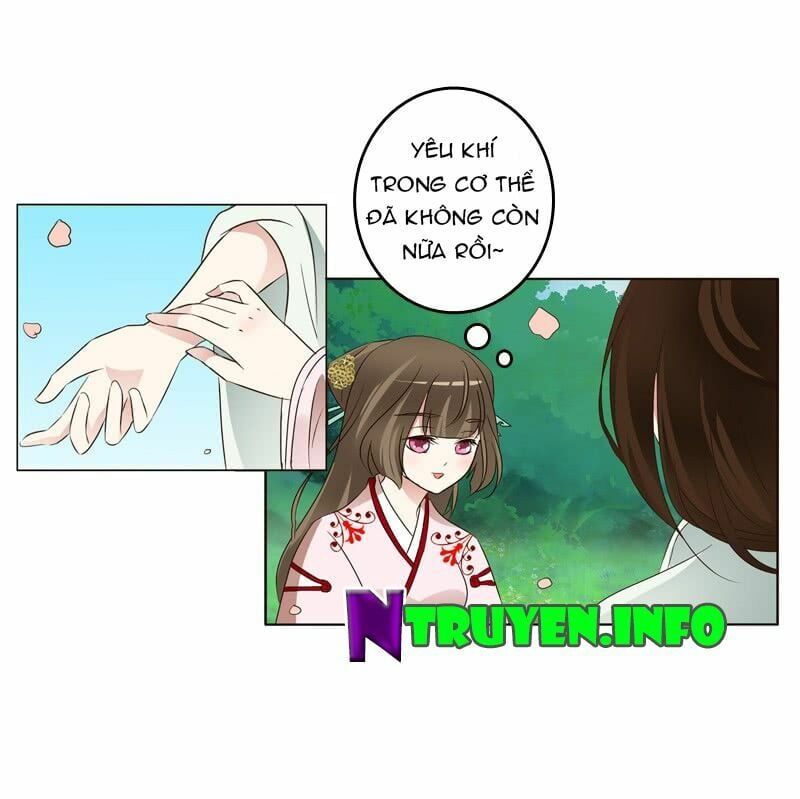 đọc truyện Thông Linh Phi Chương 207 ảnh 9 tại Thiên Thai Truyện