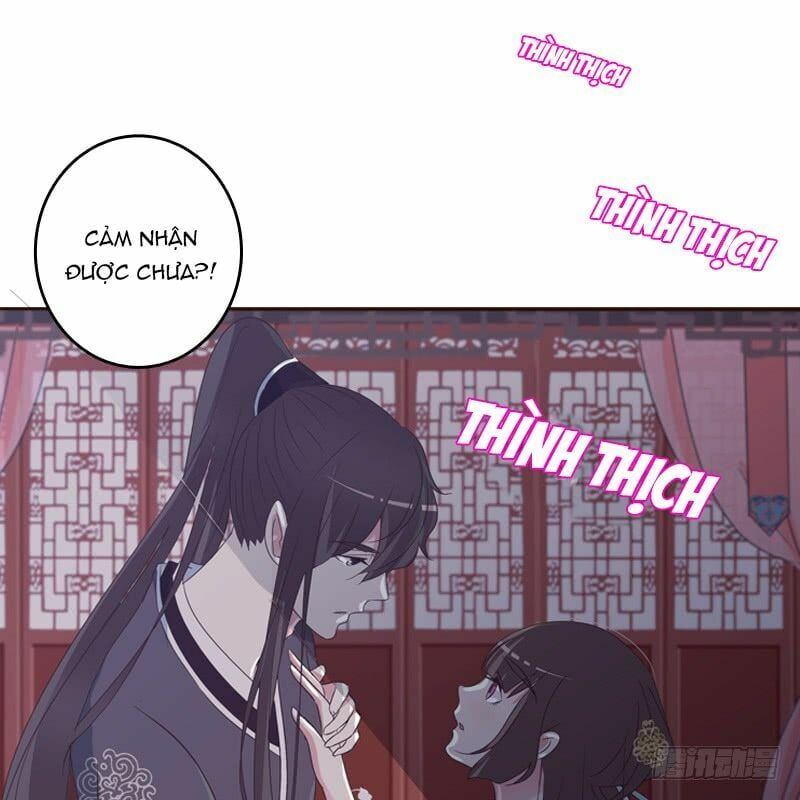 đọc truyện Thông Linh Phi Chương 209 ảnh 11 tại Thiên Thai Truyện