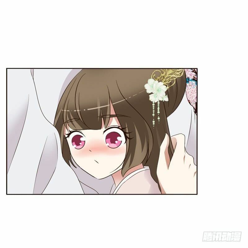 đọc truyện Thông Linh Phi Chương 219 ảnh 13 tại Thiên Thai Truyện