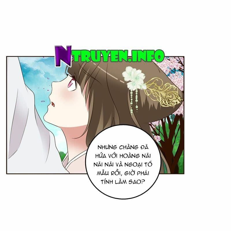 đọc truyện Thông Linh Phi Chương 219 ảnh 14 tại Thiên Thai Truyện