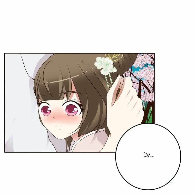 đọc truyện Thông Linh Phi Chương 219 ảnh 25 tại Thiên Thai Truyện