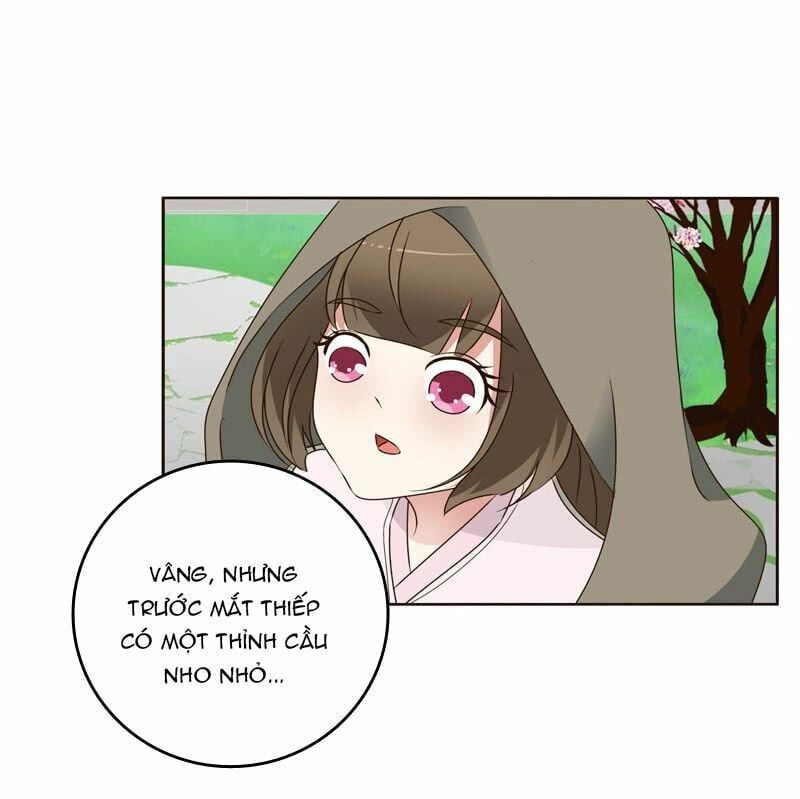 đọc truyện Thông Linh Phi Chương 238 ảnh 12 tại Thiên Thai Truyện