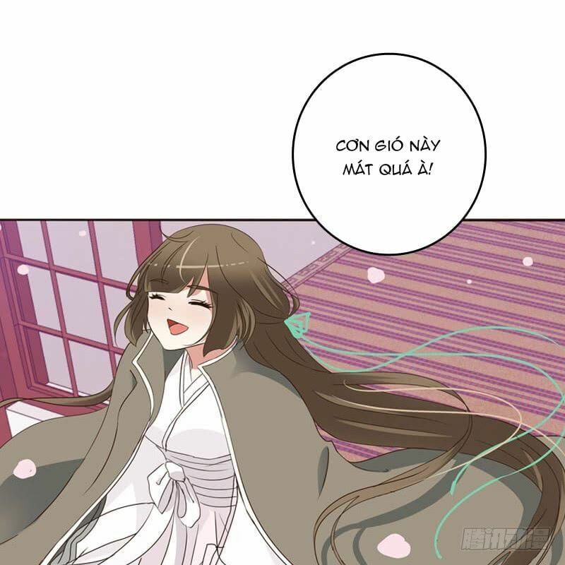 đọc truyện Thông Linh Phi Chương 238 ảnh 25 tại Thiên Thai Truyện