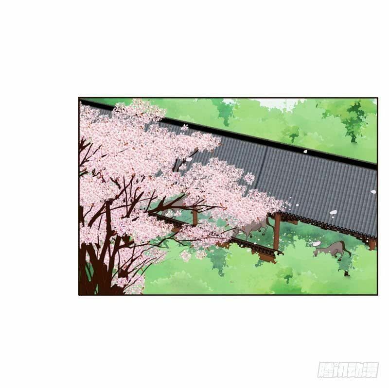 đọc truyện Thông Linh Phi Chương 249 ảnh 12 tại Thiên Thai Truyện