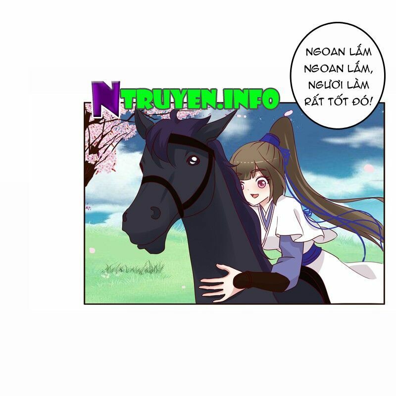 đọc truyện Thông Linh Phi Chương 250 ảnh 14 tại Thiên Thai Truyện