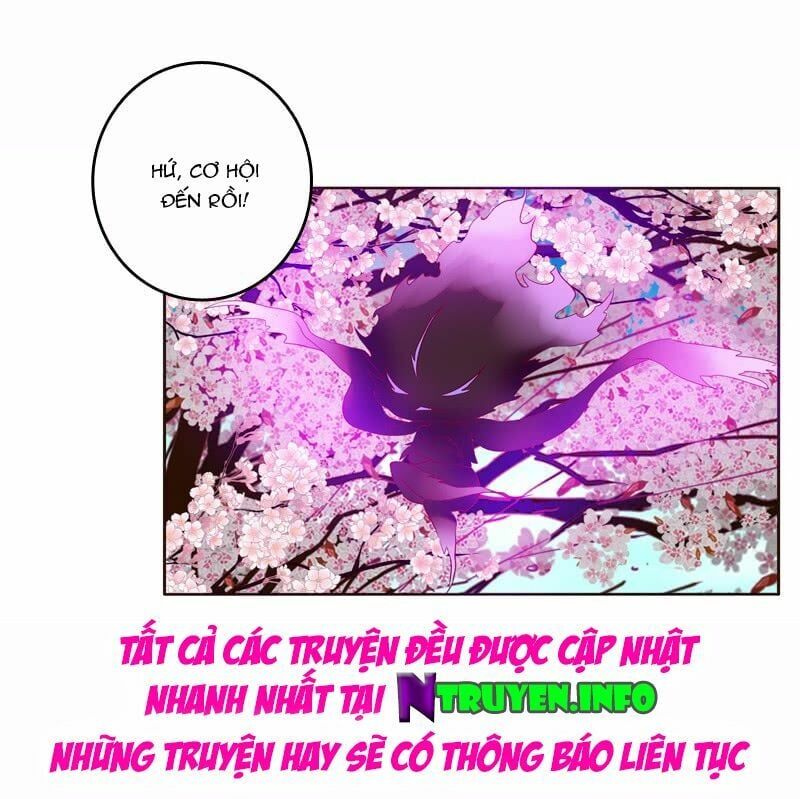 đọc truyện Thông Linh Phi Chương 251 ảnh 21 tại Thiên Thai Truyện