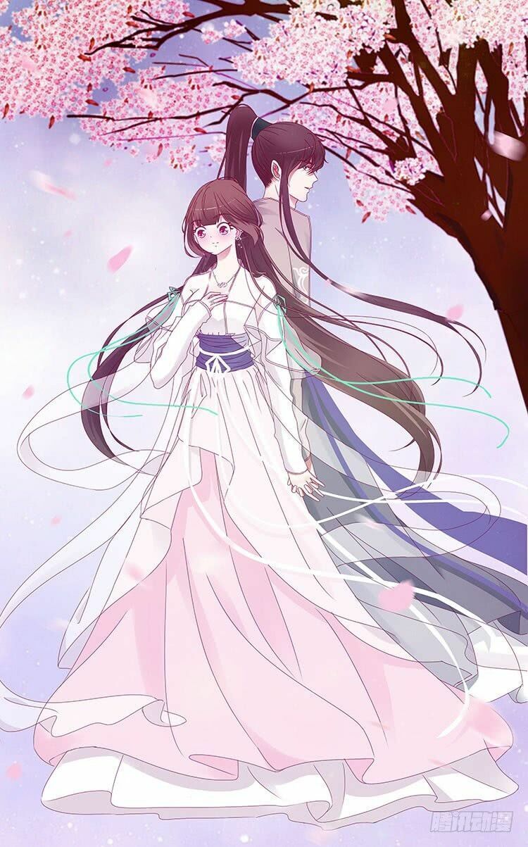 đọc truyện Thông Linh Phi Chương 254 ảnh 5 tại Thiên Thai Truyện