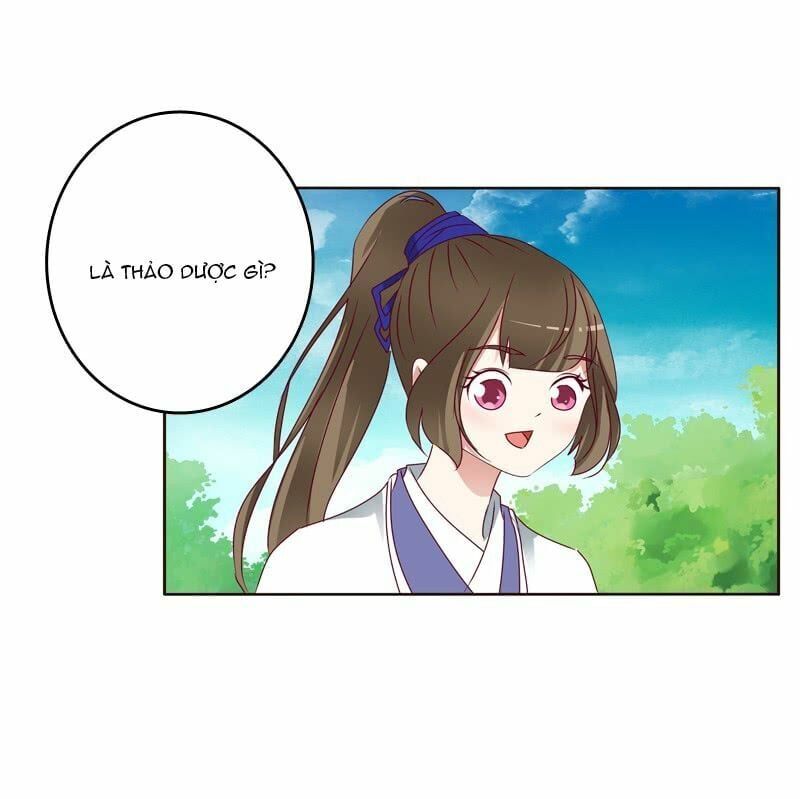 đọc truyện Thông Linh Phi Chương 259 ảnh 14 tại Thiên Thai Truyện