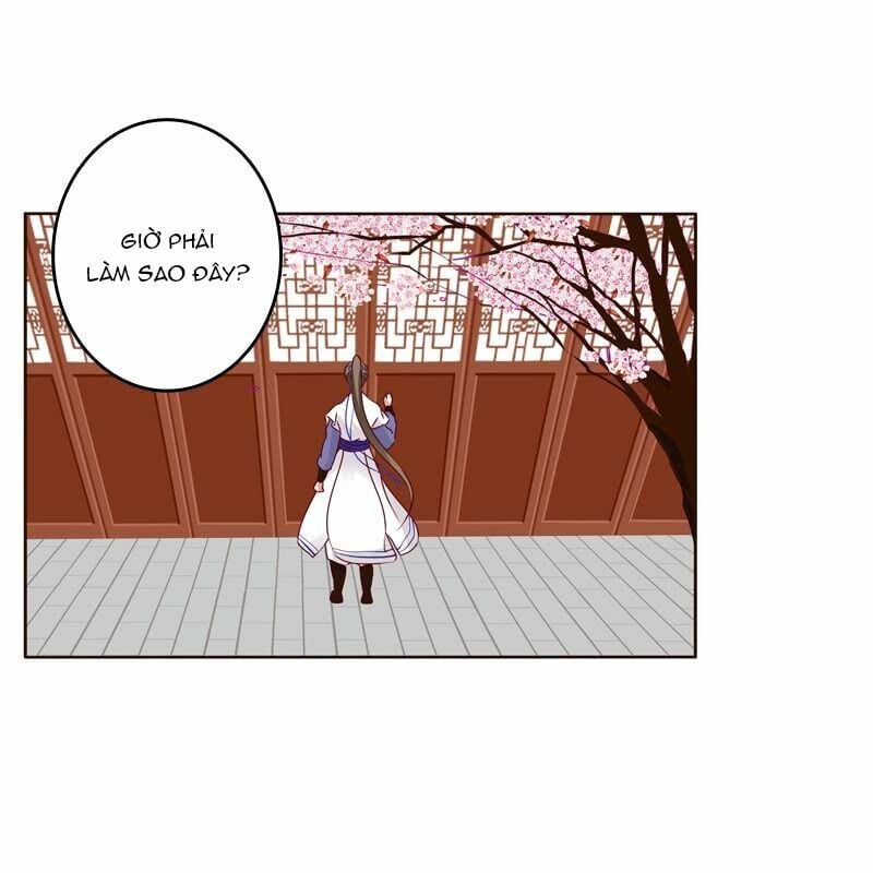 đọc truyện Thông Linh Phi Chương 260 ảnh 8 tại Thiên Thai Truyện