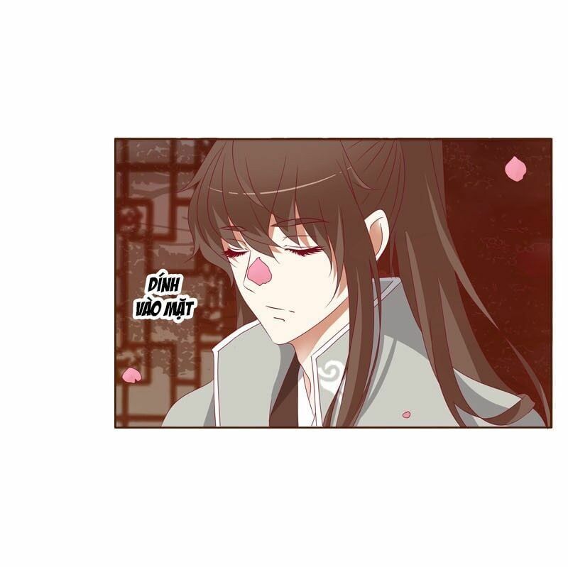 đọc truyện Thông Linh Phi Chương 264 ảnh 6 tại Thiên Thai Truyện