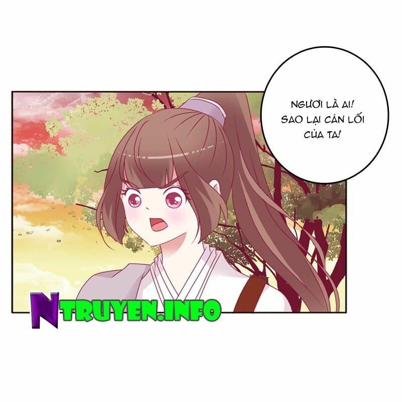 đọc truyện Thông Linh Phi Chương 268 ảnh 13 tại Thiên Thai Truyện