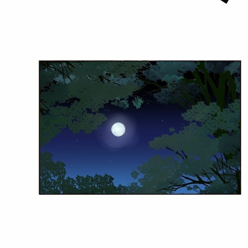 đọc truyện Thông Linh Phi Chương 269 ảnh 18 tại Thiên Thai Truyện